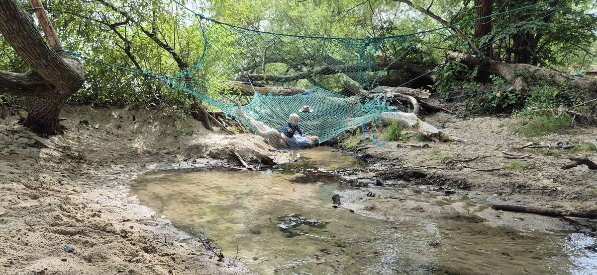 Tree trunk with green netting woven into the branches, a reminder of other nets beyond the internet
