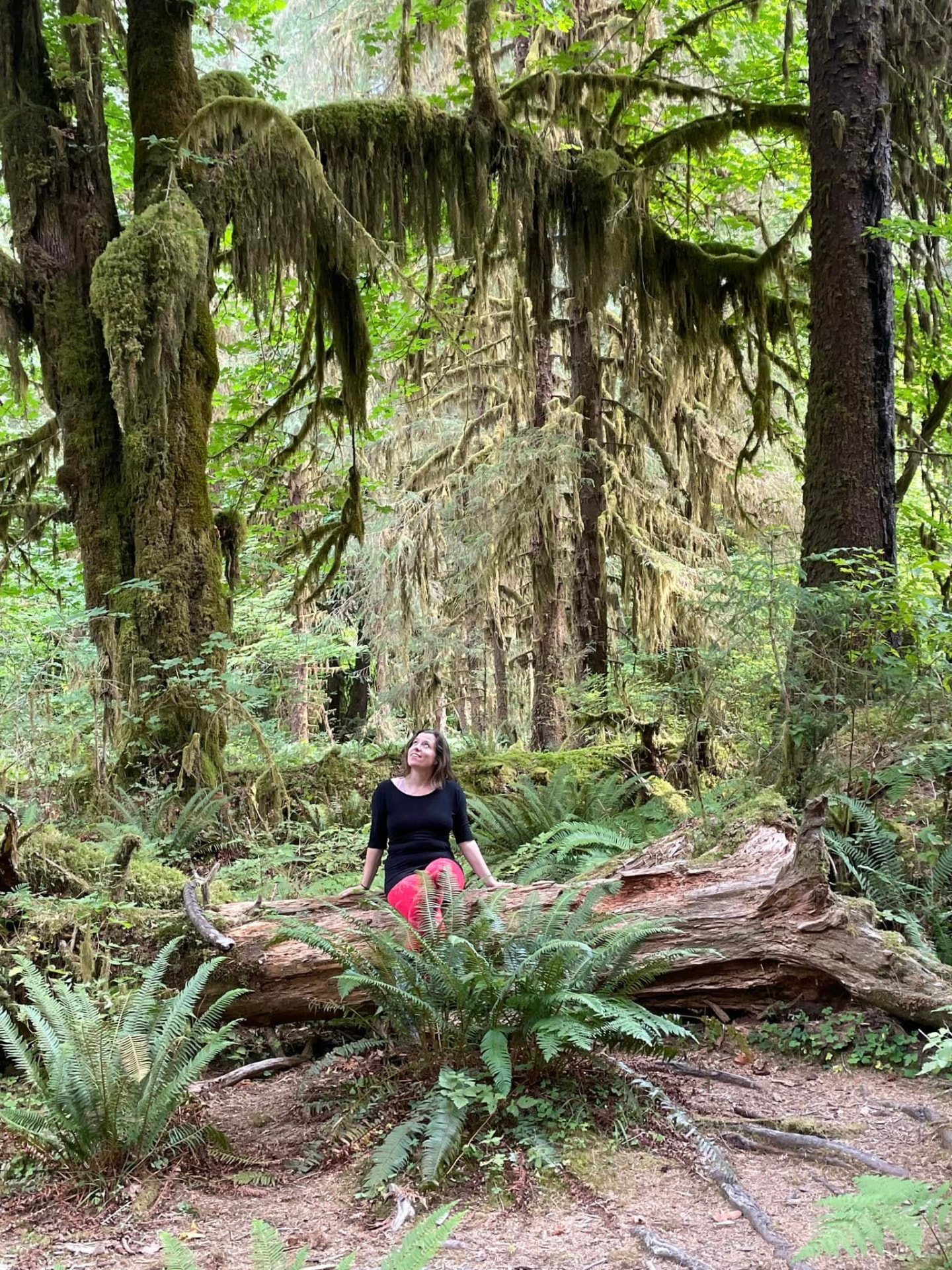 Holly sitting on a fallen mossy log, looking up into an old-growth forest